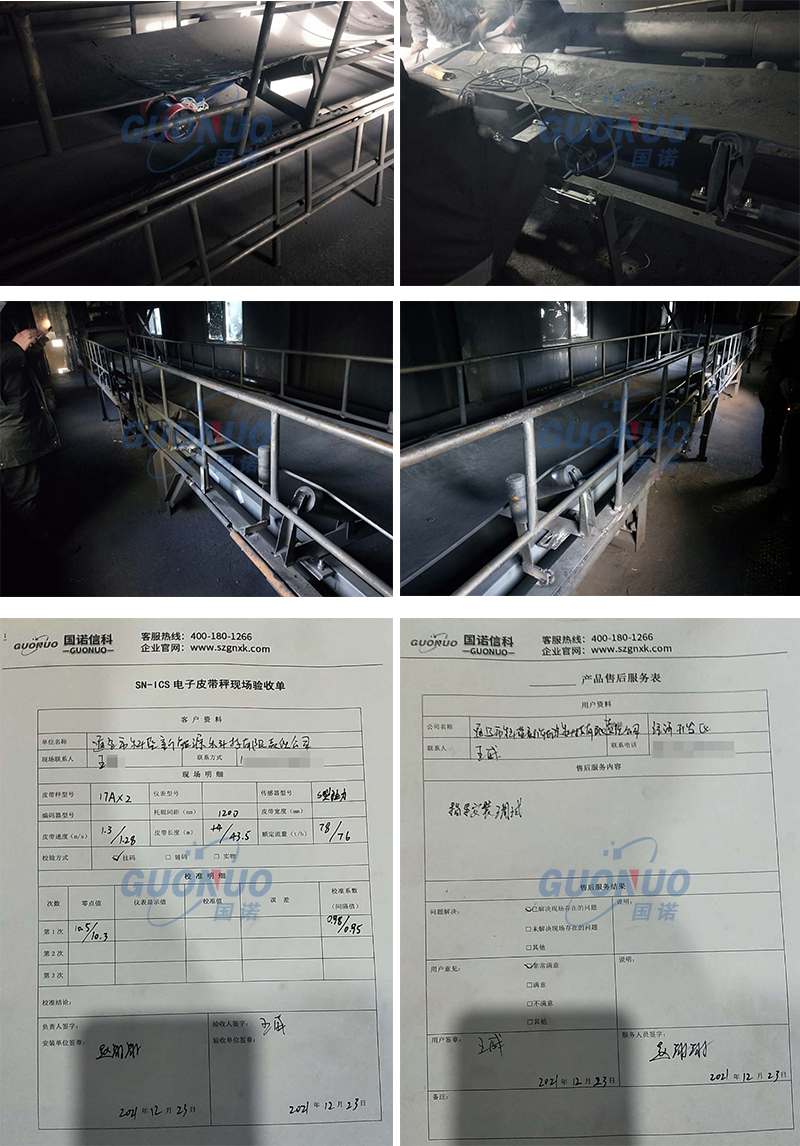 文章配图带水印-国诺科蓝新能源.png